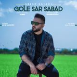 کاور آهنگ گل سر سبد