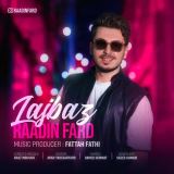 کاور آهنگ لجباز