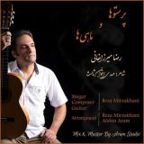 کاور آهنگ پرستوها و ماهی ها