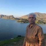 کاور آهنگ برزی برزی