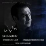 کاور آهنگ احوال دل
