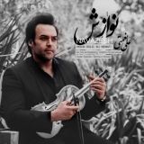 کاور آهنگ نوازش