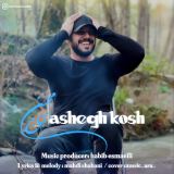 کاور آهنگ عاشق کش