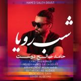 کاور آهنگ شب رویا
