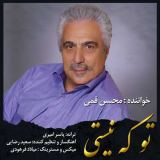 کاور آهنگ تو که نیستی
