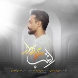 کاور آهنگ پر پرواز