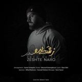 کاور آهنگ زشته نرو