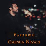 کاور آهنگ پرنده