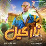 کاور آهنگ نارگیل