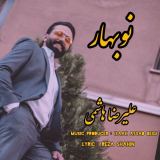 کاور آهنگ نو بهار