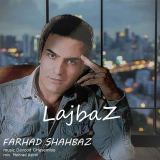 کاور آهنگ لجباز