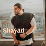 کاور آهنگ شاید