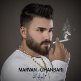 کاور آهنگ شویل بی کسی