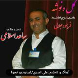 کاور آهنگ گل ونوشه
