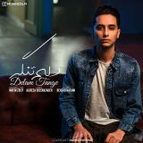 کاور آهنگ دلم تنگه