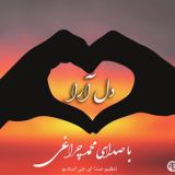کاور آهنگ دل آرا
