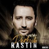 کاور آهنگ دارکوب