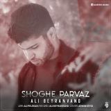 کاور آهنگ شوق پرواز