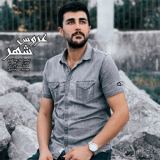 کاور آهنگ عروس شهر