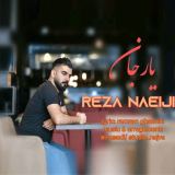 کاور آهنگ یارجان