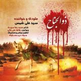 کاور آهنگ ذوالجناح