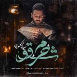 کاور آهنگ شوق حرم