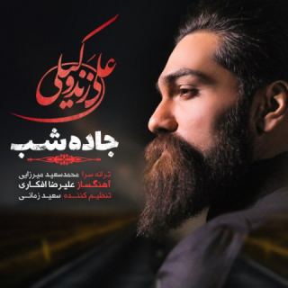 کاور آهنگ جاده شب از علی زند وکیلی