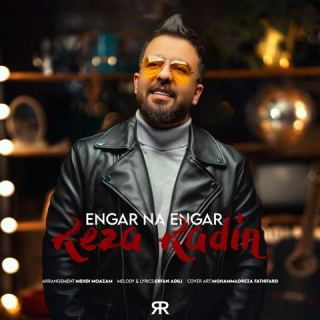 کاور آهنگ انگار نه انگار از رضا رادین