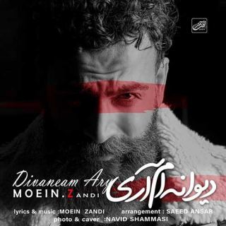 کاور آهنگ دیوانه ام آری از معین زد