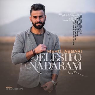 کاور آهنگ دلشو ندارم از مهدی عسگری