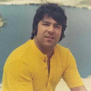 کاور آهنگ گل من از احمد ظاهر